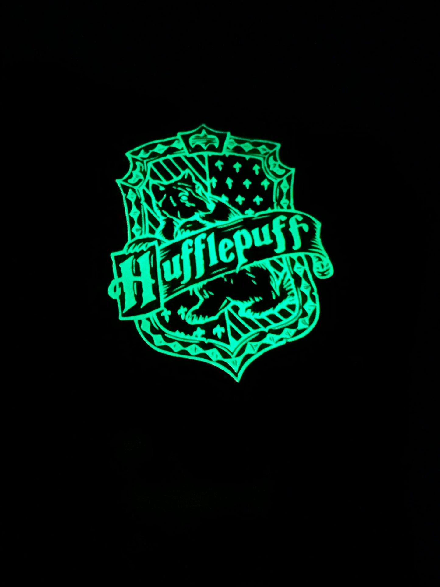 Wizarding House Sweatpants